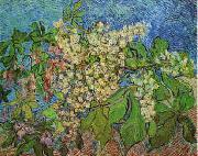 Vincent Van Gogh White Flowers with Blue Background USA oil painting reproduction